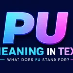 PU Meaning in Text: Means and How People Use It in Chats
