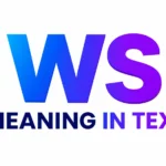 WS Meaning in Text: Means and How People Use It Online